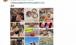 娱乐圈吃瓜爆料素材网站,揭秘明星幕后故事，揭秘娱乐圈真相！